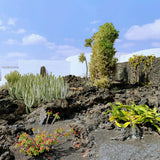 Lanzarote T-shirt Men's
