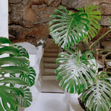 Khat Top